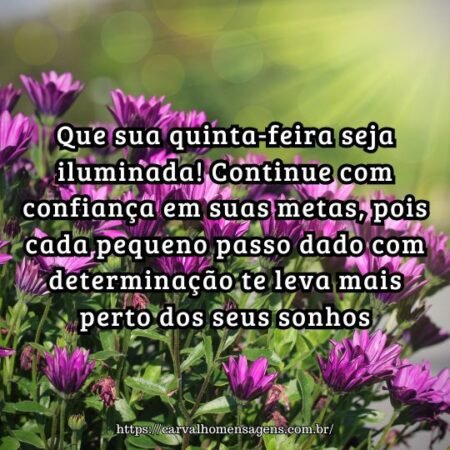 Que sua quinta-feira seja iluminada! Continue com confiança em suas metas, pois cada pequeno passo dado com determinação te leva mais perto dos seus sonhos. Que sua quinta-feira seja iluminada! Continue com confiança em suas metas, pois cada pequeno passo dado com determinação te leva mais perto dos seus sonhos.