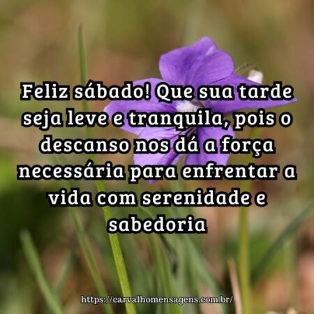 Feliz sábado! Que sua tarde seja leve e tranquila, pois o descanso nos dá a força necessária para enfrentar a vida com serenidade e sabedoria. Feliz sábado! Que sua tarde seja leve e tranquila, pois o descanso nos dá a força necessária para enfrentar a vida com serenidade e sabedoria.