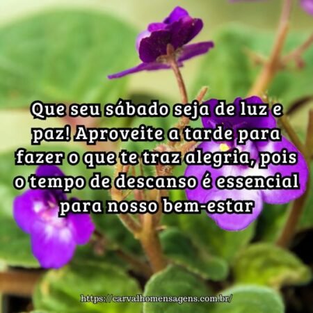 Que seu sábado seja de luz e paz! Aproveite a tarde para fazer o que te traz alegria, pois o tempo de descanso é essencial para nosso bem-estar. Que seu sábado seja de luz e paz! Aproveite a tarde para fazer o que te traz alegria, pois o tempo de descanso é essencial para nosso bem-estar.