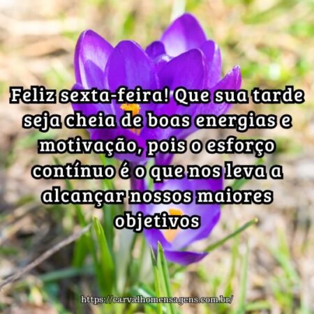 Feliz sexta-feira! Que sua tarde seja cheia de boas energias e motivação, pois o esforço contínuo é o que nos leva a alcançar nossos maiores objetivos. Feliz sexta-feira! Que sua tarde seja cheia de boas energias e motivação, pois o esforço contínuo é o que nos leva a alcançar nossos maiores objetivos.