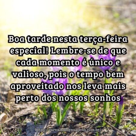 Boa tarde nesta terça-feira especial! Lembre-se de que cada momento é único e valioso, pois o tempo bem aproveitado nos leva mais perto dos nossos sonhos. Boa tarde nesta terça-feira especial! Lembre-se de que cada momento é único e valioso, pois o tempo bem aproveitado nos leva mais perto dos nossos sonhos.