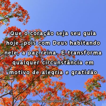 Que o coração seja seu guia hoje, pois com Deus habitando nele, a paz reina. E transforma qualquer circunstância em motivo de alegria e gratidão. Que o coração seja seu guia hoje, pois com Deus habitando nele, a paz reina. E transforma qualquer circunstância em motivo de alegria e gratidão.