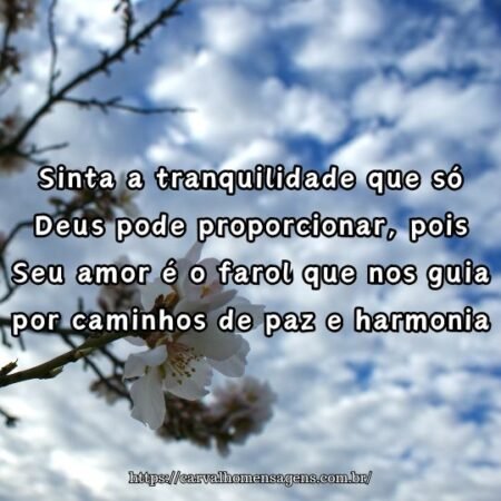 Sinta a tranquilidade que só Deus pode proporcionar, pois Seu amor é o farol que nos guia por caminhos de paz e harmonia. Sinta a tranquilidade que só Deus pode proporcionar, pois Seu amor é o farol que nos guia por caminhos de paz e harmonia.
