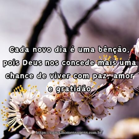Cada novo dia é uma bênção, pois Deus nos concede mais uma chance de viver com paz, amor e gratidão. Cada novo dia é uma bênção, pois Deus nos concede mais uma chance de viver com paz, amor e gratidão.