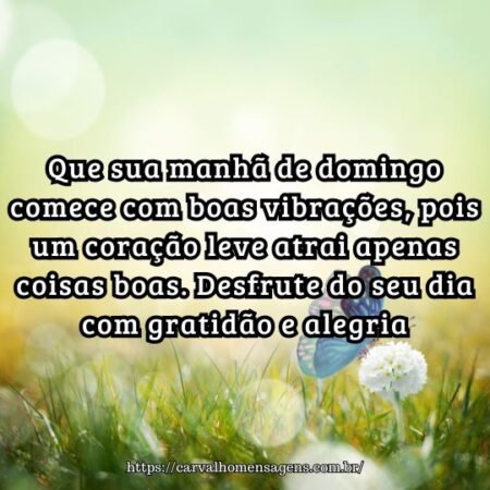 Que sua manhã de domingo comece com boas vibrações, pois um coração leve atrai apenas coisas boas. Desfrute do seu dia com gratidão e alegria. Que sua manhã de domingo comece com boas vibrações, pois um coração leve atrai apenas coisas boas. Desfrute do seu dia com gratidão e alegria.