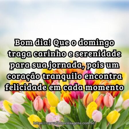 Bom dia! Que o domingo traga carinho e serenidade para sua jornada, pois um coração tranquilo encontra felicidade em cada momento. Bom dia! Que o domingo traga carinho e serenidade para sua jornada, pois um coração tranquilo encontra felicidade em cada momento.