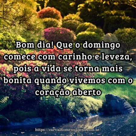Bom dia! Que o domingo comece com carinho e leveza, pois a vida se torna mais bonita quando vivemos com o coração aberto. Bom dia! Que o domingo comece com carinho e leveza, pois a vida se torna mais bonita quando vivemos com o coração aberto.