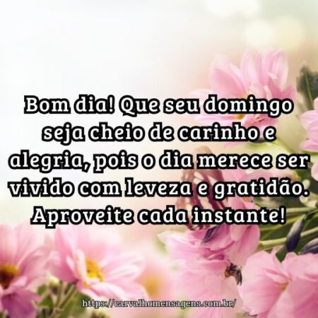 Bom dia! Que seu domingo seja cheio de carinho e alegria, pois o dia merece ser vivido com leveza e gratidão. Aproveite cada instante! Bom dia! Que seu domingo seja cheio de carinho e alegria, pois o dia merece ser vivido com leveza e gratidão. Aproveite cada instante!