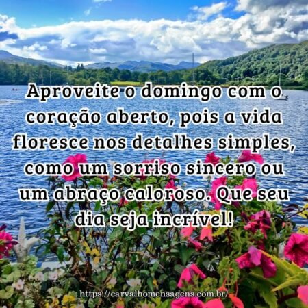 Aproveite o domingo com o coração aberto, pois a vida floresce nos detalhes simples, como um sorriso sincero ou um abraço caloroso. Que seu dia seja incrível! Aproveite o domingo com o coração aberto, pois a vida floresce nos detalhes simples, como um sorriso sincero ou um abraço caloroso. Que seu dia seja incrível!