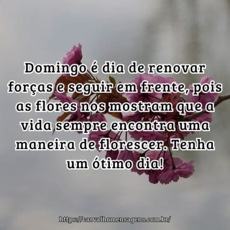Domingo é dia de renovar forças e seguir em frente, pois as flores nos mostram que a vida sempre encontra uma maneira de florescer. Tenha um ótimo dia! Domingo é dia de renovar forças e seguir em frente, pois as flores nos mostram que a vida sempre encontra uma maneira de florescer. Tenha um ótimo dia!