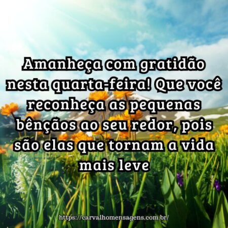 Amanheça com gratidão nesta quarta-feira! Que você reconheça as pequenas bênçãos ao seu redor, pois são elas que tornam a vida mais leve. Amanheça com gratidão nesta quarta-feira! Que você reconheça as pequenas bênçãos ao seu redor, pois são elas que tornam a vida mais leve.