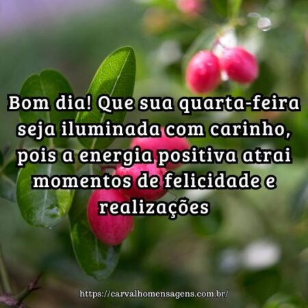 Bom dia! Que sua quarta-feira seja iluminada com carinho, pois a energia positiva atrai momentos de felicidade e realizações. Bom dia! Que sua quarta-feira seja iluminada com carinho, pois a energia positiva atrai momentos de felicidade e realizações.