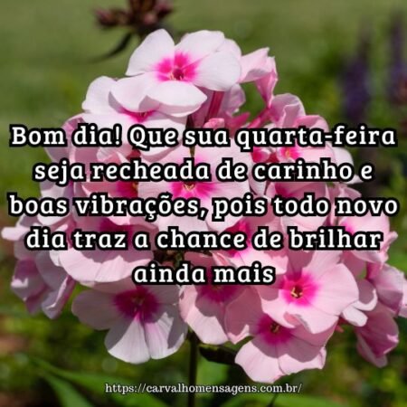 Bom dia! Que sua quarta-feira seja recheada de carinho e boas vibrações, pois todo novo dia traz a chance de brilhar ainda mais. Bom dia! Que sua quarta-feira seja recheada de carinho e boas vibrações, pois todo novo dia traz a chance de brilhar ainda mais.