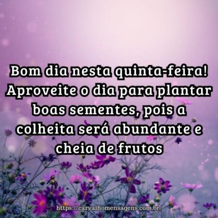 Bom dia nesta quinta-feira! Aproveite o dia para plantar boas sementes, pois a colheita será abundante e cheia de frutos. Bom dia nesta quinta-feira! Aproveite o dia para plantar boas sementes, pois a colheita será abundante e cheia de frutos.