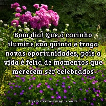 Bom dia! Que o carinho ilumine sua quinta e traga novas oportunidades, pois a vida é feita de momentos que merecem ser celebrados. Bom dia! Que o carinho ilumine sua quinta e traga novas oportunidades, pois a vida é feita de momentos que merecem ser celebrados.