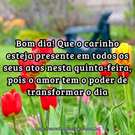 Bom dia! Que o carinho esteja presente em todos os seus atos nesta quinta-feira, pois o amor tem o poder de transformar o dia. Bom dia! Que o carinho esteja presente em todos os seus atos nesta quinta-feira, pois o amor tem o poder de transformar o dia.
