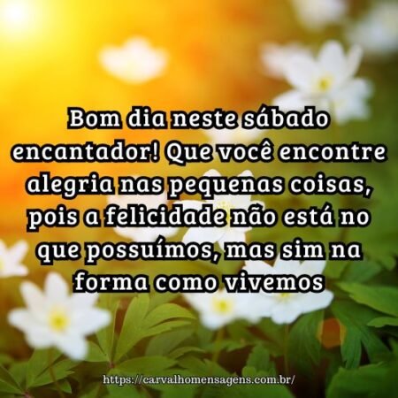 Bom dia neste sábado encantador! Que você encontre alegria nas pequenas coisas, pois a felicidade não está no que possuímos, mas sim na forma como vivemos. Bom dia neste sábado encantador! Que você encontre alegria nas pequenas coisas, pois a felicidade não está no que possuímos, mas sim na forma como vivemos.