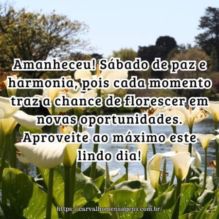 Amanheceu! Sábado de paz e harmonia, pois cada momento traz a chance de florescer em novas oportunidades. Aproveite ao máximo este lindo dia! Amanheceu! Sábado de paz e harmonia, pois cada momento traz a chance de florescer em novas oportunidades. Aproveite ao máximo este lindo dia!