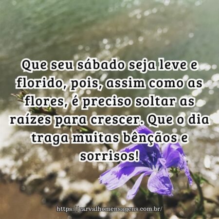 Que seu sábado seja leve e florido, pois, assim como as flores, é preciso soltar as raízes para crescer. Que o dia traga muitas bênçãos e sorrisos! Que seu sábado seja leve e florido, pois, assim como as flores, é preciso soltar as raízes para crescer. Que o dia traga muitas bênçãos e sorrisos!
