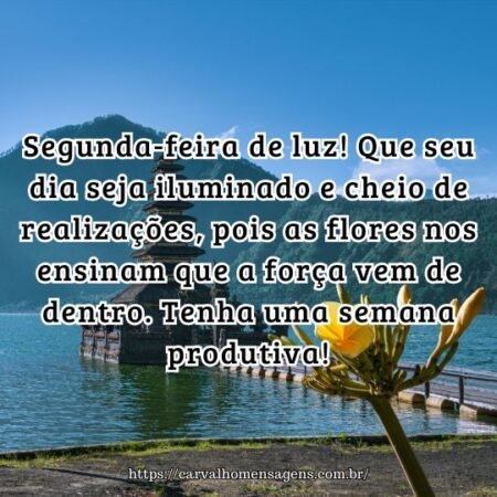 Segunda-feira de luz! Que seu dia seja iluminado e cheio de realizações, pois as flores nos ensinam que a força vem de dentro. Tenha uma semana produtiva! Segunda-feira de luz! Que seu dia seja iluminado e cheio de realizações, pois as flores nos ensinam que a força vem de dentro. Tenha uma semana produtiva!