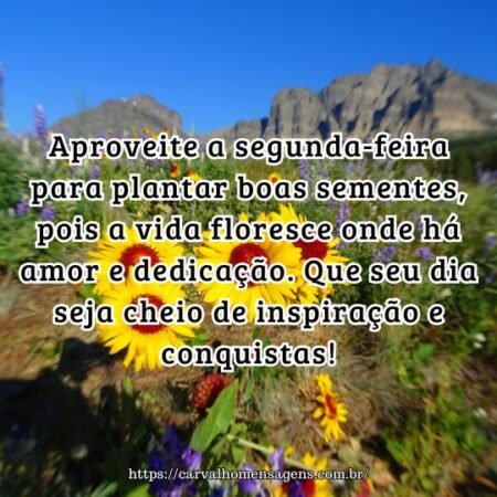 Aproveite a segunda-feira para plantar boas sementes, pois a vida floresce onde há amor e dedicação. Que seu dia seja cheio de inspiração e conquistas! Aproveite a segunda-feira para plantar boas sementes, pois a vida floresce onde há amor e dedicação. Que seu dia seja cheio de inspiração e conquistas!
