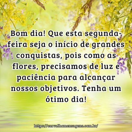 Bom dia! Que esta segunda-feira seja o início de grandes conquistas, pois como as flores, precisamos de luz e paciência para alcançar nossos objetivos. Tenha um ótimo dia! Bom dia! Que esta segunda-feira seja o início de grandes conquistas, pois como as flores, precisamos de luz e paciência para alcançar nossos objetivos. Tenha um ótimo dia!