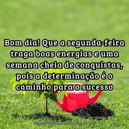 Bom dia! Que a segunda-feira traga boas energias e uma semana cheia de conquistas, pois a determinação é o caminho para o sucesso. Bom dia! Que a segunda-feira traga boas energias e uma semana cheia de conquistas, pois a determinação é o caminho para o sucesso.