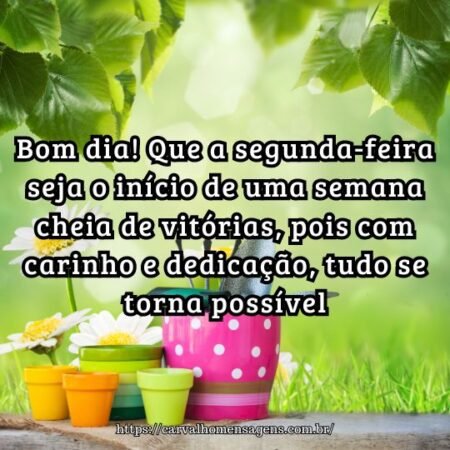 Bom dia! Que a segunda-feira seja o início de uma semana cheia de vitórias, pois com carinho e dedicação, tudo se torna possível. Bom dia! Que a segunda-feira seja o início de uma semana cheia de vitórias, pois com carinho e dedicação, tudo se torna possível.