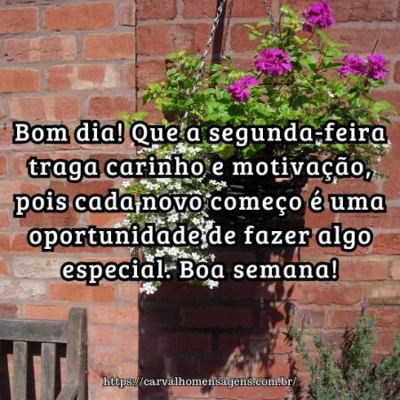 Bom dia! Que a segunda-feira traga carinho e motivação, pois cada novo começo é uma oportunidade de fazer algo especial. Boa semana! Bom dia! Que a segunda-feira traga carinho e motivação, pois cada novo começo é uma oportunidade de fazer algo especial. Boa semana!