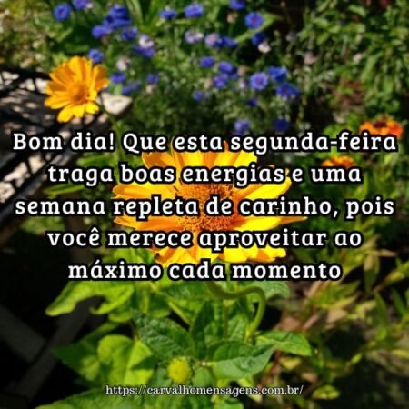 Bom dia! Que esta segunda-feira traga boas energias e uma semana repleta de carinho, pois você merece aproveitar ao máximo cada momento. Bom dia! Que esta segunda-feira traga boas energias e uma semana repleta de carinho, pois você merece aproveitar ao máximo cada momento.