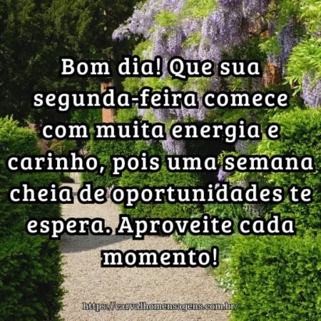 Bom dia! Que sua segunda-feira comece com muita energia e carinho, pois uma semana cheia de oportunidades te espera. Aproveite cada momento! Bom dia! Que sua segunda-feira comece com muita energia e carinho, pois uma semana cheia de oportunidades te espera. Aproveite cada momento!