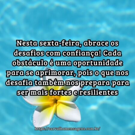 Nesta sexta-feira, abrace os desafios com confiança! Cada obstáculo é uma oportunidade para se aprimorar, pois o que nos desafia também nos prepara para ser mais fortes e resilientes. Nesta sexta-feira, abrace os desafios com confiança! Cada obstáculo é uma oportunidade para se aprimorar, pois o que nos desafia também nos prepara para ser mais fortes e resilientes.