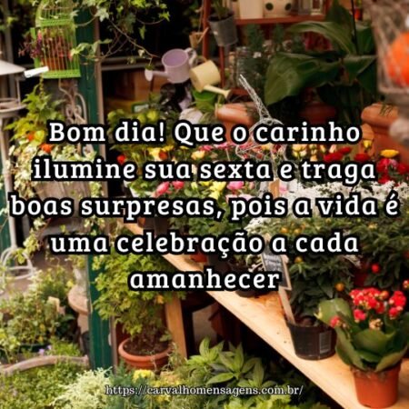 Bom dia! Que o carinho ilumine sua sexta e traga boas surpresas, pois a vida é uma celebração a cada amanhecer. Bom dia! Que o carinho ilumine sua sexta e traga boas surpresas, pois a vida é uma celebração a cada amanhecer.