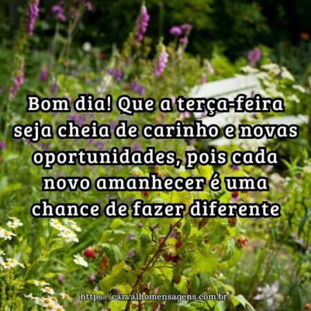 Bom dia! Que a terça-feira seja cheia de carinho e novas oportunidades, pois cada novo amanhecer é uma chance de fazer diferente. Bom dia! Que a terça-feira seja cheia de carinho e novas oportunidades, pois cada novo amanhecer é uma chance de fazer diferente.
