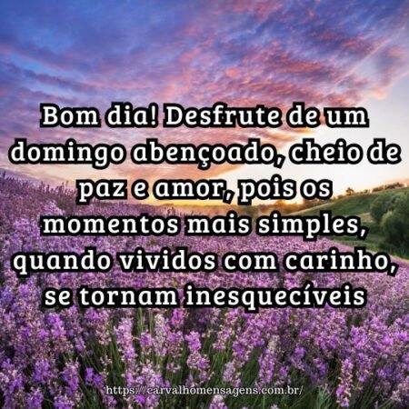 Bom dia! Desfrute de um domingo abençoado, cheio de paz e amor, pois os momentos mais simples, quando vividos com carinho, se tornam inesquecíveis. Bom dia! Desfrute de um domingo abençoado, cheio de paz e amor, pois os momentos mais simples, quando vividos com carinho, se tornam inesquecíveis.