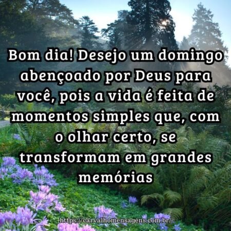 Bom dia! Desejo um domingo abençoado por Deus para você, pois a vida é feita de momentos simples que, com o olhar certo, se transformam em grandes memórias. Bom dia! Desejo um domingo abençoado por Deus para você, pois a vida é feita de momentos simples que, com o olhar certo, se transformam em grandes memórias.