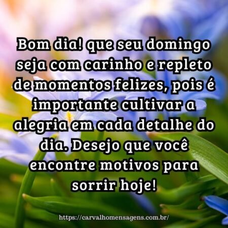 Bom dia! que seu domingo seja com carinho e repleto de momentos felizes, pois é importante cultivar a alegria em cada detalhe do dia. Desejo que você encontre motivos para sorrir hoje! Bom dia! que seu domingo seja com carinho e repleto de momentos felizes, pois é importante cultivar a alegria em cada detalhe do dia. Desejo que você encontre motivos para sorrir hoje!