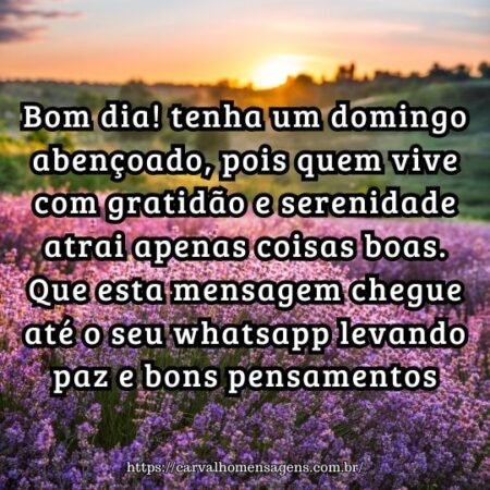 Bom dia! tenha um domingo abençoado, pois quem vive com gratidão e serenidade atrai apenas coisas boas. Que esta mensagem chegue até o seu whatsapp levando paz e bons pensamentos. Bom dia! tenha um domingo abençoado, pois quem vive com gratidão e serenidade atrai apenas coisas boas. Que esta mensagem chegue até o seu whatsapp levando paz e bons pensamentos.