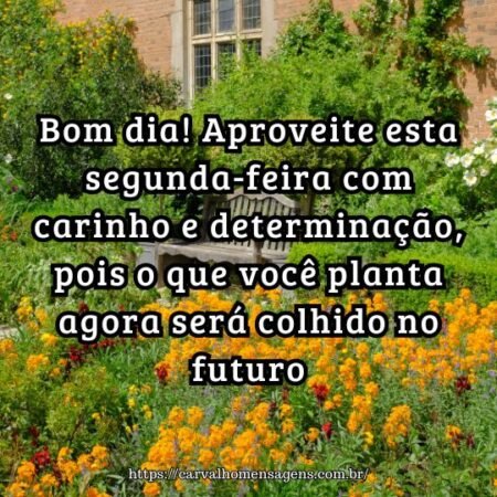 Bom dia! Aproveite esta segunda-feira com carinho e determinação, pois o que você planta agora será colhido no futuro. Bom dia! Aproveite esta segunda-feira com carinho e determinação, pois o que você planta agora será colhido no futuro.