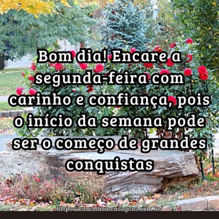 Bom dia! Encare a segunda-feira com carinho e confiança, pois o início da semana pode ser o começo de grandes conquistas. Bom dia! Encare a segunda-feira com carinho e confiança, pois o início da semana pode ser o começo de grandes conquistas.