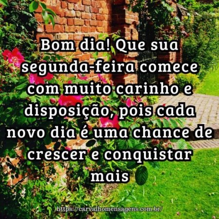 Bom dia! Que sua segunda-feira comece com muito carinho e disposição, pois cada novo dia é uma chance de crescer e conquistar mais. Bom dia! Que sua segunda-feira comece com muito carinho e disposição, pois cada novo dia é uma chance de crescer e conquistar mais.
