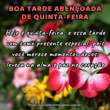 Hoje é quinta-feira, e essa tarde vem como presente especial, pois você merece momentos doces, leveza na alma e paz no coração. Hoje é quinta-feira, e essa tarde vem como presente especial, pois você merece momentos doces, leveza na alma e paz no coração.