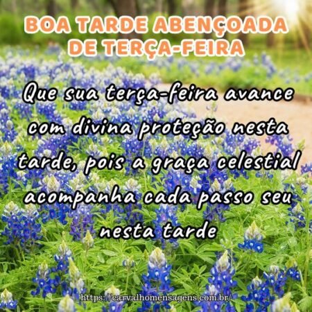 Que sua terça-feira avance com divina proteção nesta tarde, pois a graça celestial acompanha cada passo seu nesta tarde. Que sua terça-feira avance com divina proteção nesta tarde, pois a graça celestial acompanha cada passo seu nesta tarde.