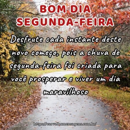 Desfrute cada instante deste novo começo, pois a chuva de segunda-feira foi criada para você prosperar e viver um dia maravilhoso. Desfrute cada instante deste novo começo, pois a chuva de segunda-feira foi criada para você prosperar e viver um dia maravilhoso.
