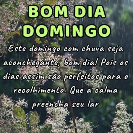 Este domingo com chuva seja aconchegante, bom dia! Pois os dias assim são perfeitos para o recolhimento. Que a calma preencha seu lar. Este domingo com chuva seja aconchegante, bom dia! Pois os dias assim são perfeitos para o recolhimento. Que a calma preencha seu lar.