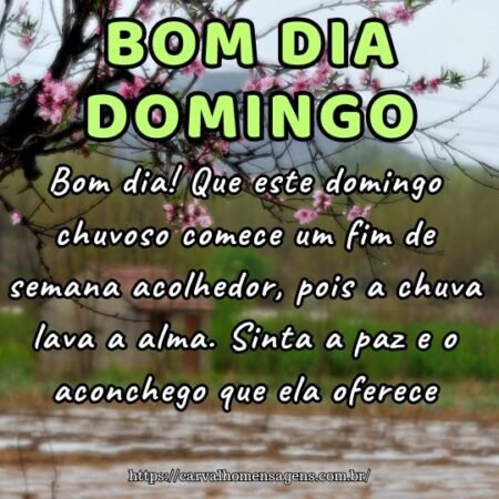 Bom dia! Que este domingo chuvoso comece um fim de semana acolhedor, pois a chuva lava a alma. Sinta a paz e o aconchego que ela oferece. Bom dia! Que este domingo chuvoso comece um fim de semana acolhedor, pois a chuva lava a alma. Sinta a paz e o aconchego que ela oferece.