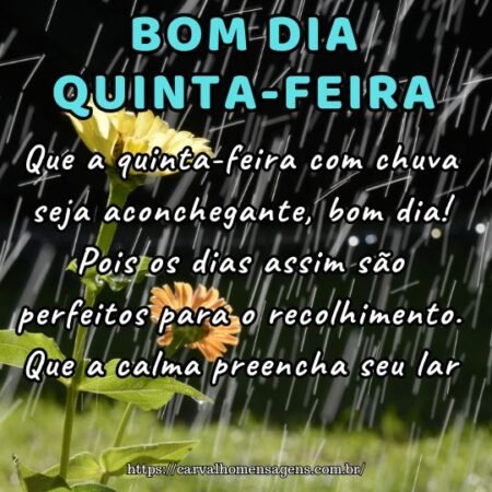 Que a quinta-feira com chuva seja aconchegante, bom dia! Pois os dias assim são perfeitos para o recolhimento. Que a calma preencha seu lar. Que a quinta-feira com chuva seja aconchegante, bom dia! Pois os dias assim são perfeitos para o recolhimento. Que a calma preencha seu lar.