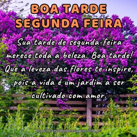 Sua tarde de segunda-feira merece toda a beleza. Boa tarde! Que a leveza das flores te inspire, pois a vida é um jardim a ser cultivado com amor. Sua tarde de segunda-feira merece toda a beleza. Boa tarde! Que a leveza das flores te inspire, pois a vida é um jardim a ser cultivado com amor.