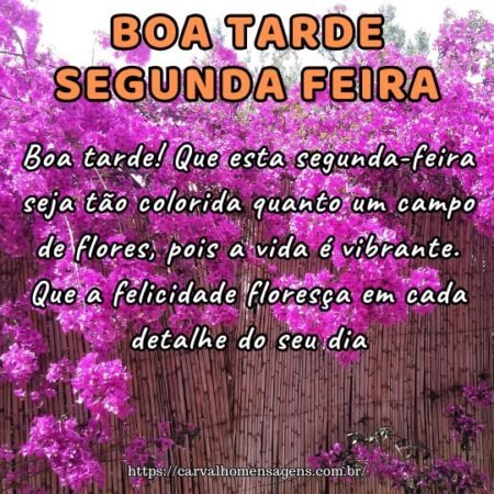 Boa tarde! Que esta segunda-feira seja tão colorida quanto um campo de flores, pois a vida é vibrante. Que a felicidade floresça em cada detalhe do seu dia. Boa tarde! Que esta segunda-feira seja tão colorida quanto um campo de flores, pois a vida é vibrante. Que a felicidade floresça em cada detalhe do seu dia.
