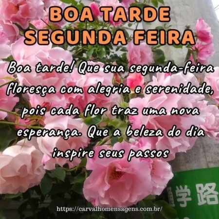 Boa tarde! Que sua segunda-feira floresça com alegria e serenidade, pois cada flor traz uma nova esperança. Que a beleza do dia inspire seus passos. Boa tarde! Que sua segunda-feira floresça com alegria e serenidade, pois cada flor traz uma nova esperança. Que a beleza do dia inspire seus passos.